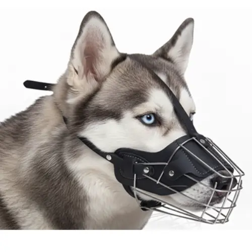 Iron Muzzle