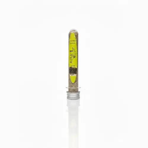Catnip tube imp 40 gm