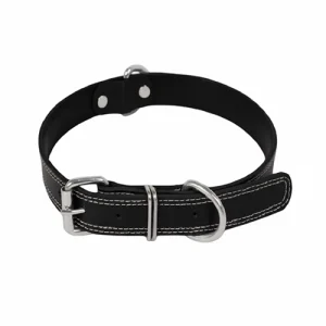 Dog Collar