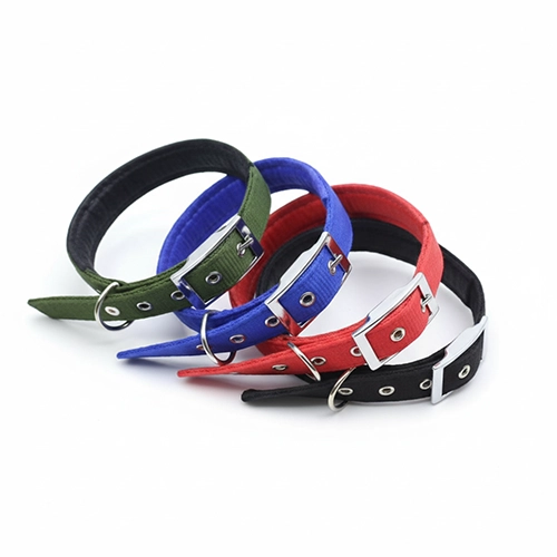 Soft collar with Buckle
